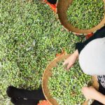 Saham untuk Pemula: Kenapa Sekarang Lebih Masuk Akal dari Dulu, dan Apa yang Sebenarnya Perlu Kamu Pahami