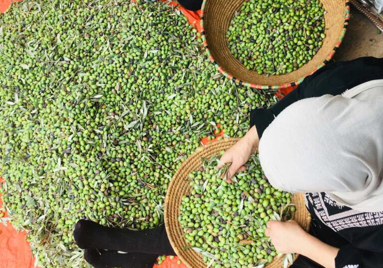 Saham untuk Pemula: Kenapa Sekarang Lebih Masuk Akal dari Dulu, dan Apa yang Sebenarnya Perlu Kamu Pahami